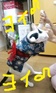 ピッコロ浴衣・盆踊り