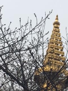 IMG_5635.JPG