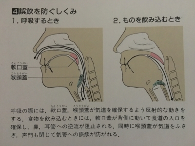 嚥下機能