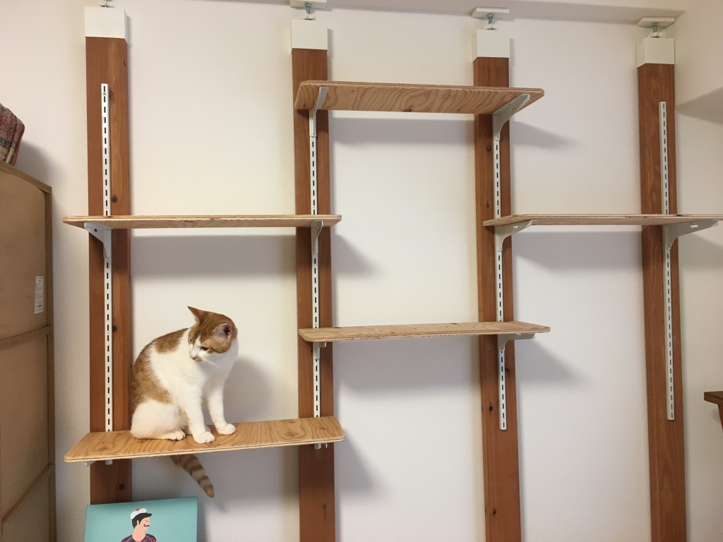 可動式キャットウォークをDIY♪ 「からっぽ」のそのつぎ。