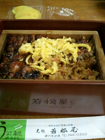 yanagawa