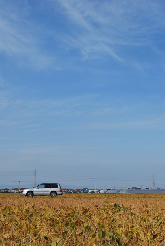 柳川の空2