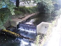 ±¨ÓƤαá