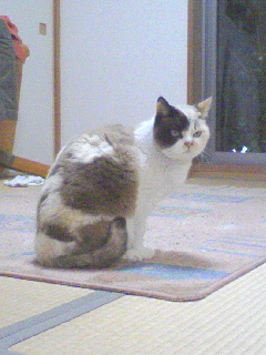 090223_1835~01.jpg