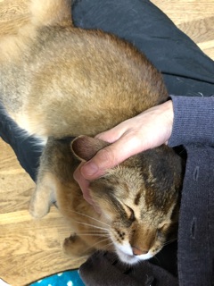 image17.jpg