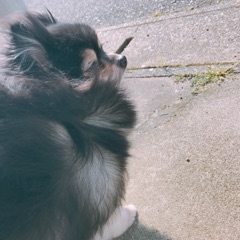 image01.jpg