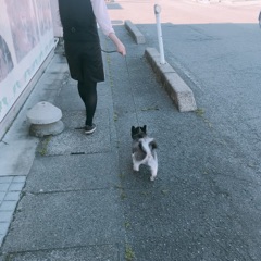 image11.jpg