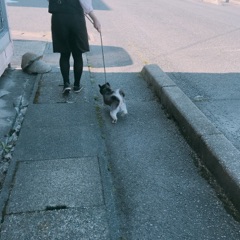 image13.jpg
