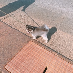 image14.jpg