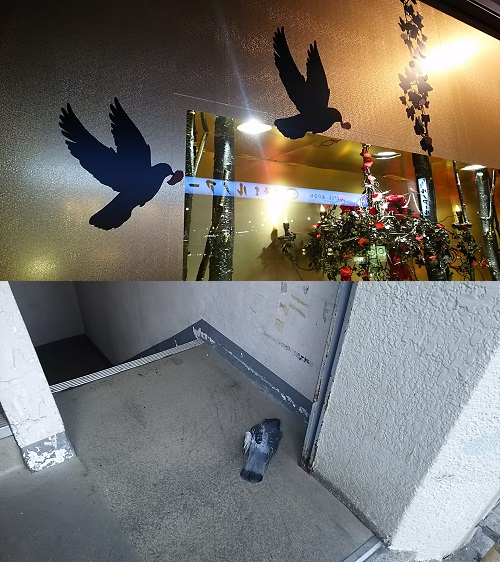 映画