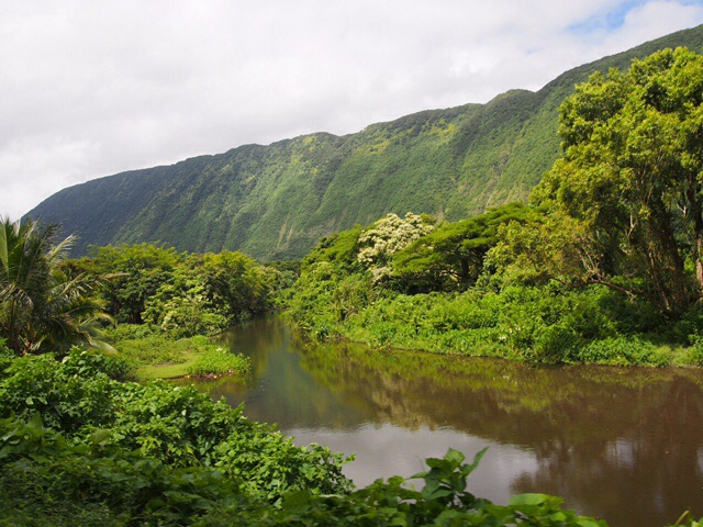 Waipio1