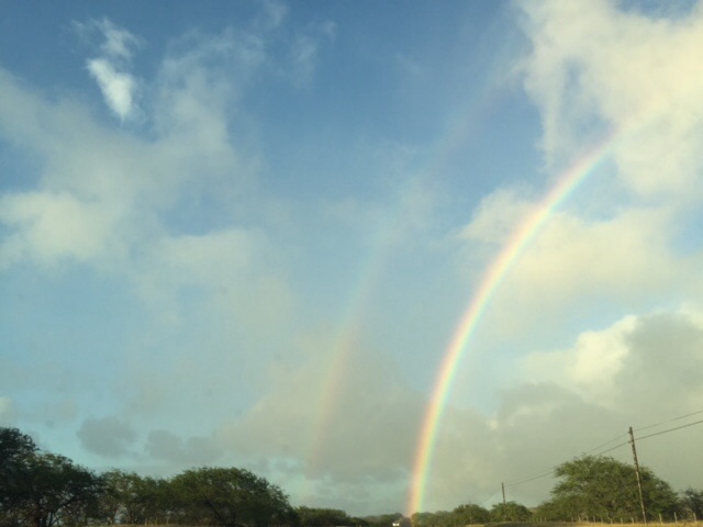 Kohala rainbow1