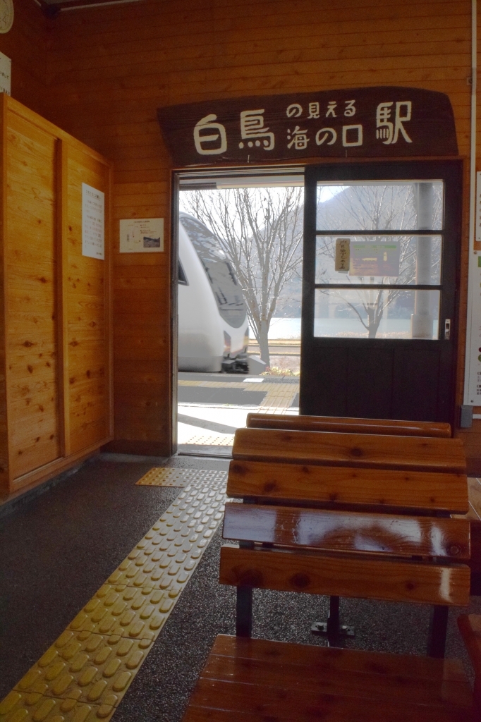 DSC_0370c.JPG