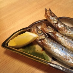 image12.jpg