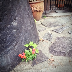 image11.jpg