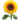 image01.gif