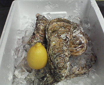 201011261854000.jpg