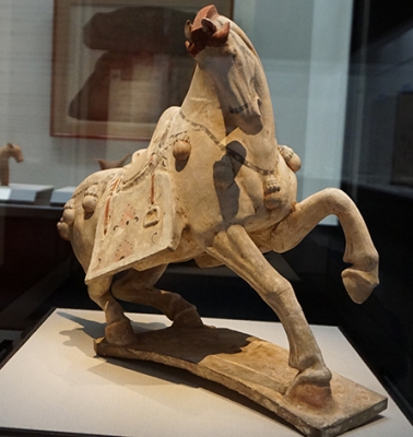 DSC01397.JPG