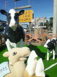 20121030_143030.jpg