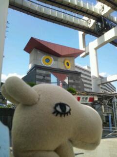 20130504_210544.jpg