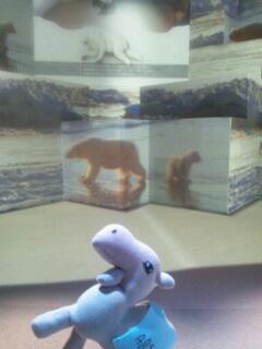 20140615_100401.jpg