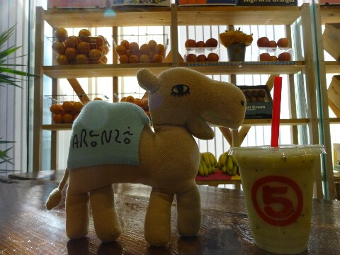 DSC00840-480x360.JPG