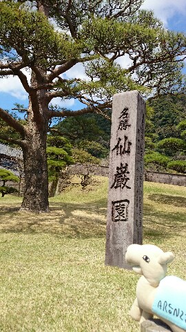 DSC_0736-270x480.JPG