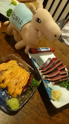 DSC_0978-270x480.JPG