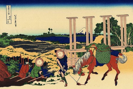 fugaku14