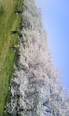 080404_1248~01.jpg