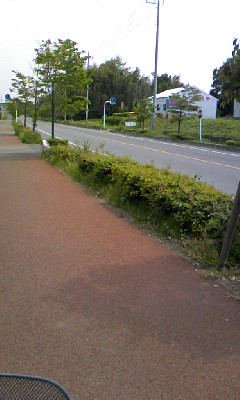 080509_1153~01.jpg
