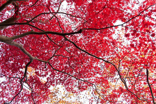 121113_140232_7121.jpg