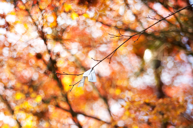121113_140412_7130.jpg