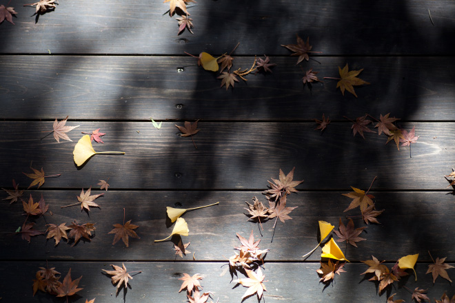 121118_121128_8414.jpg