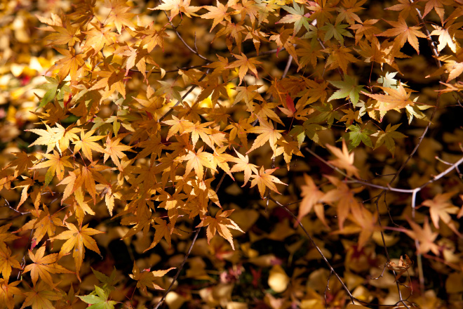 121118_121854_8428.jpg