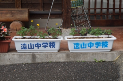 ľÇä½ê¡¦²Ö¥¢¥Ã¥×.JPG