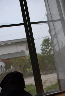 閉めても、こんな・・・・
