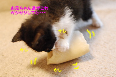 しじみ