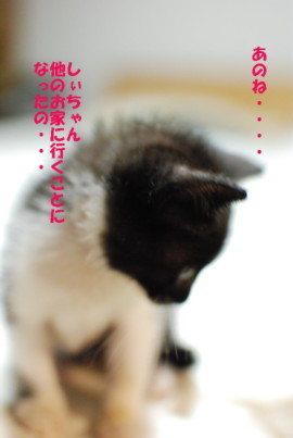 しじみ