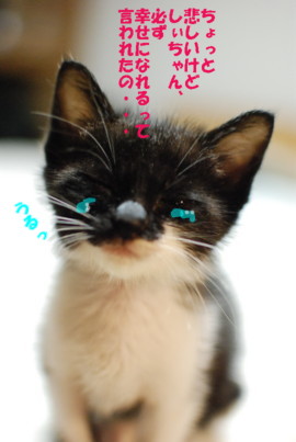 しじみ