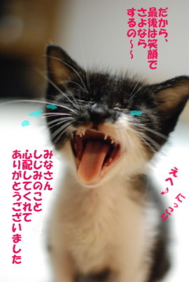 しじみ