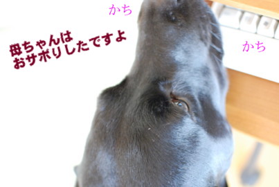 おサボりしたですよ