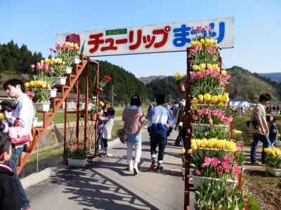 但東チューリップまつり