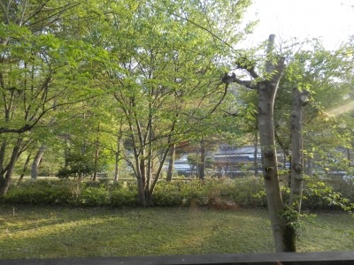 今日のお宿の周辺