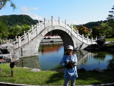 中国庭園