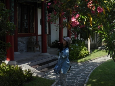 中国庭園