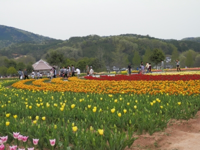 2012-4世羅高原