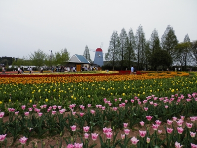 2012-4世羅高原