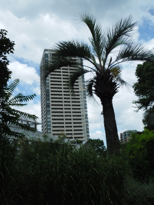2011宝塚