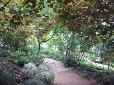 2011宝塚